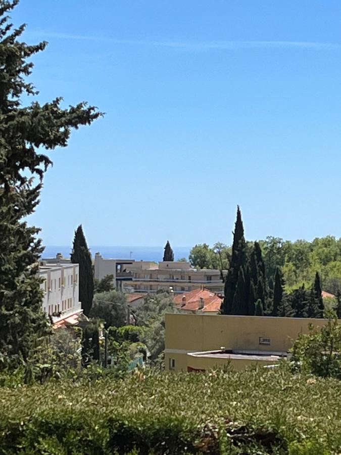 Charmant Studio Avec Terrasse Et Parking A Ванс Екстер'єр фото